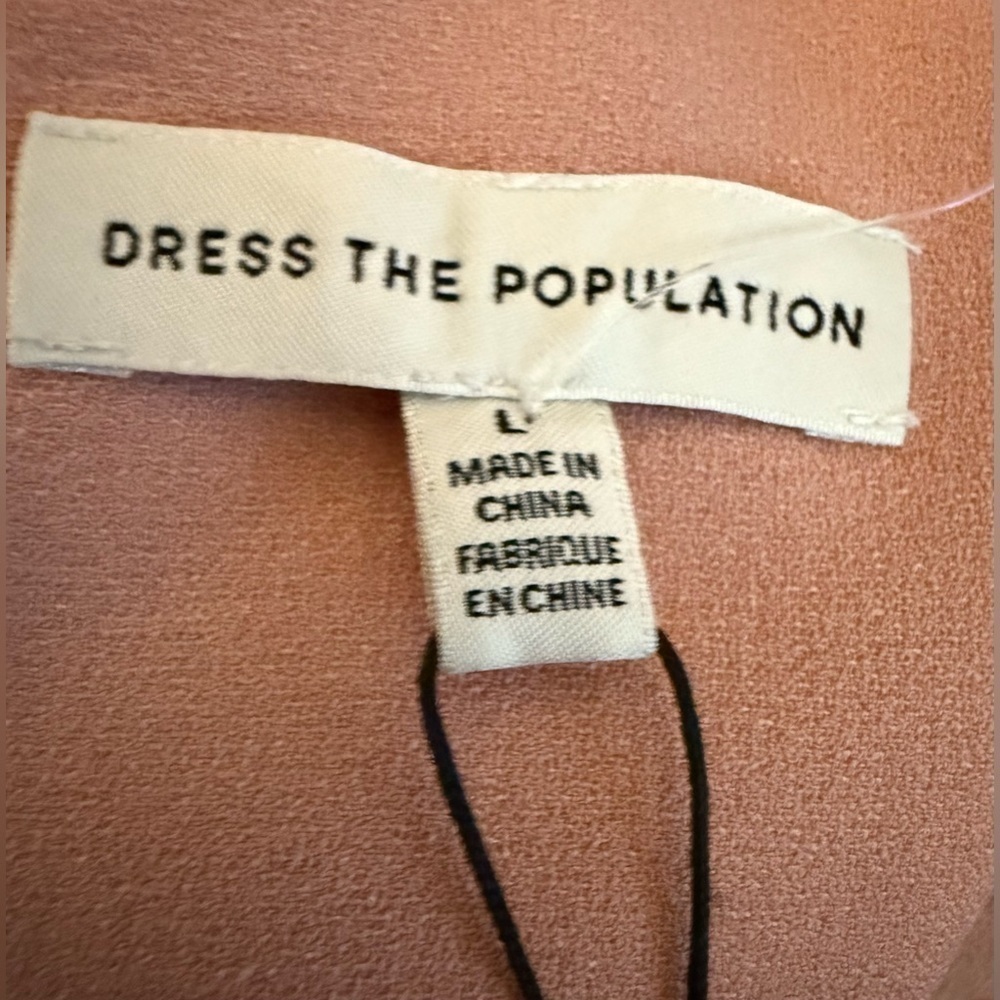 DRESS THE POPULATION BLUSH MAXI GOWN WITH SLIT LARGE NEW WITH TAGS - Picture 11 of 13